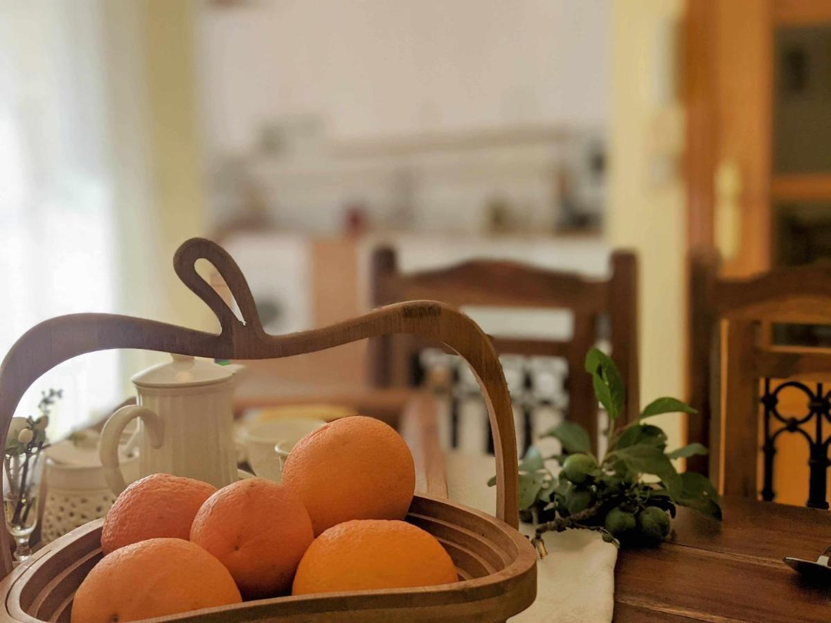 El Desvan Casa de vacances Candeleda